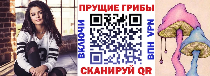 Псилоцибиновые грибы Psilocybe  Ростов-на-Дону 