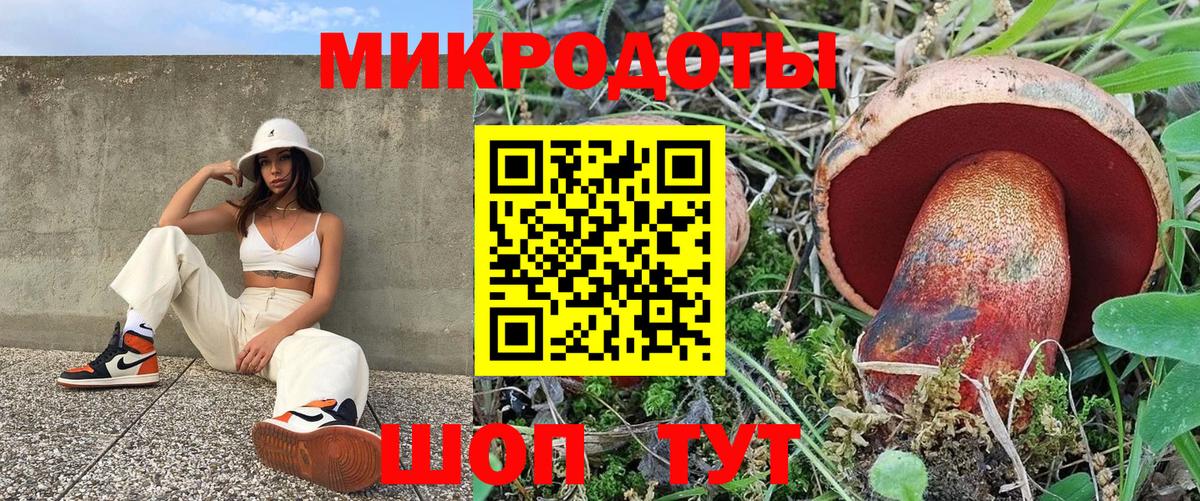 Галлюциногенные грибы Psilocybe Ростов-на-Дону